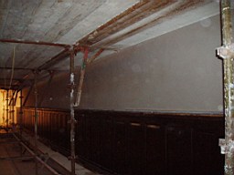 christchurch -2753.jpg